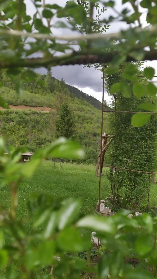 Родинна Оселя Slavske Ngoại thất bức ảnh