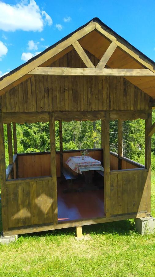 Родинна Оселя Slavske Ngoại thất bức ảnh
