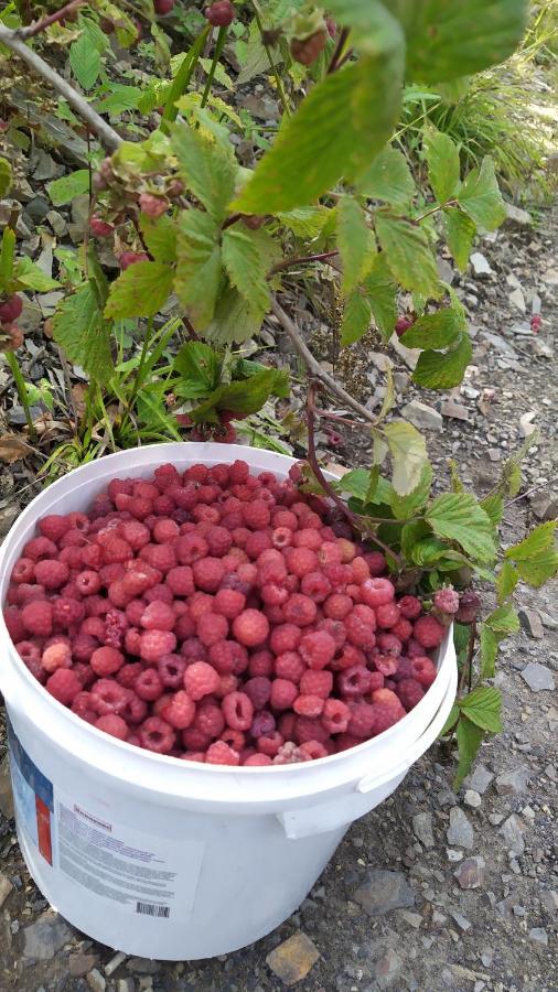 Родинна Оселя Slavske Ngoại thất bức ảnh