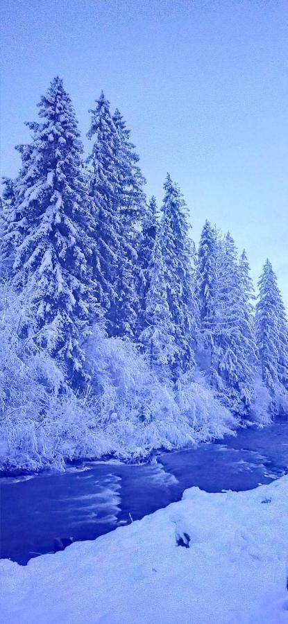Родинна Оселя Slavske Ngoại thất bức ảnh